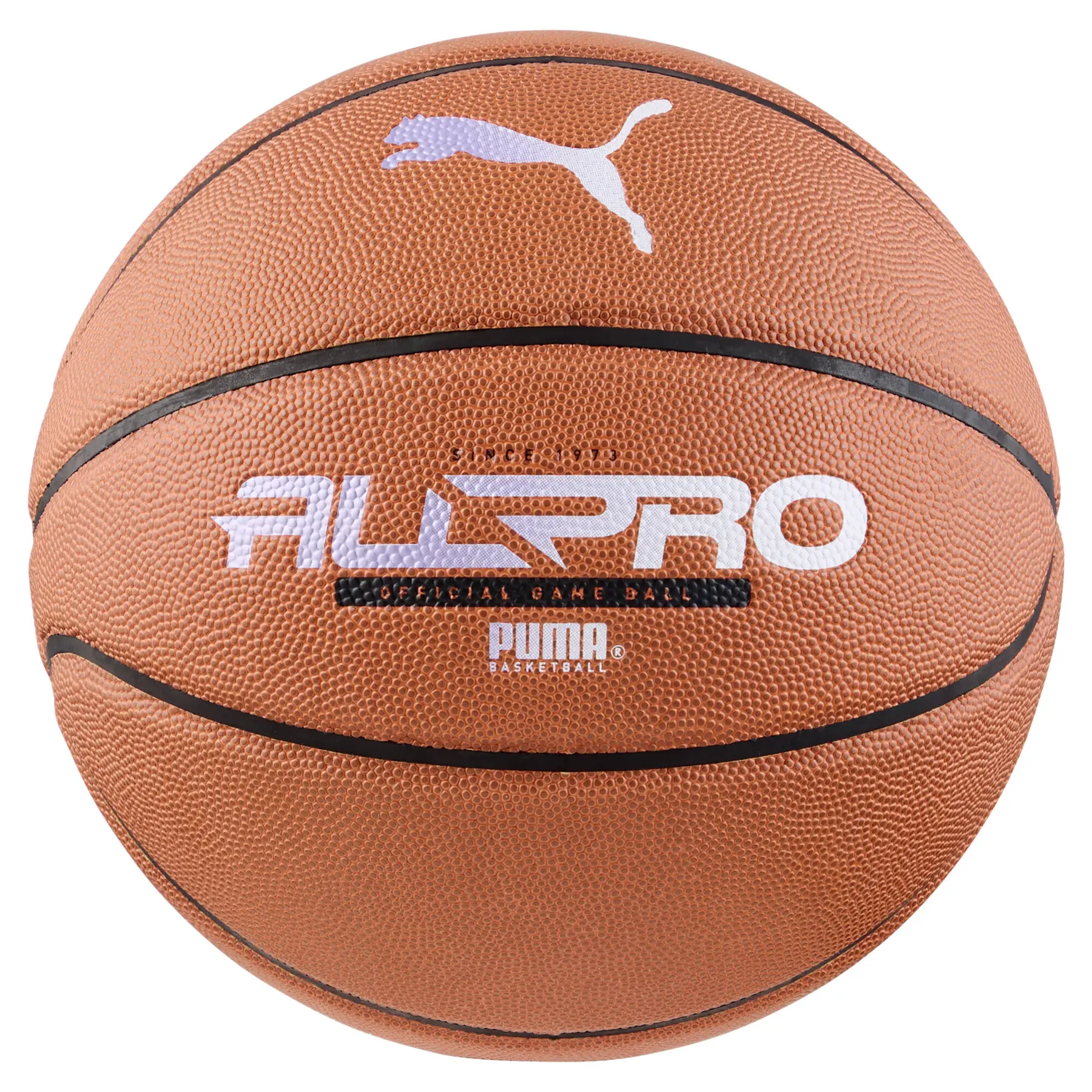 Ballon de basketball Puma TeamJaws All Pro