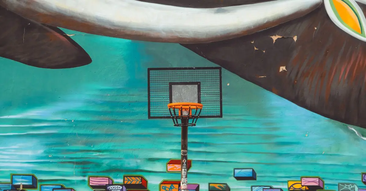 Les incontournables pour les fans de basket : Guide complet