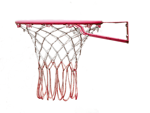 Comment Devenir un Fan Incontournable de Basketball