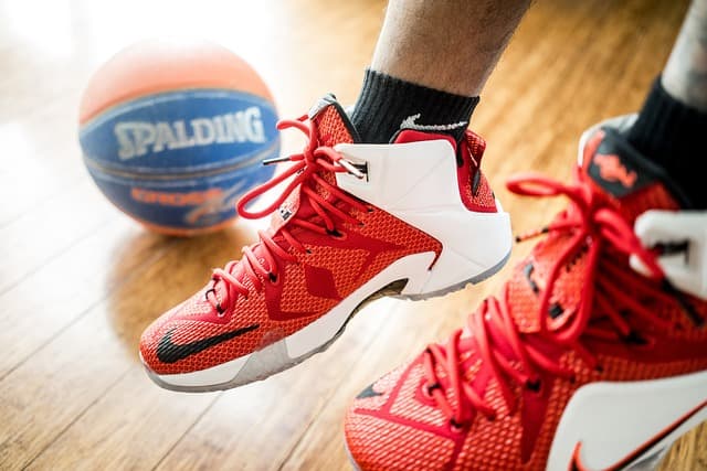 Les indispensables pour les nouveaux fans de basketball